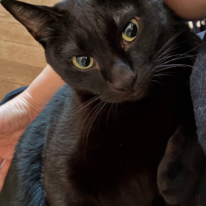 B3caffa4 35f0 4a7a 8954 0013ba860f1b 1757017389482