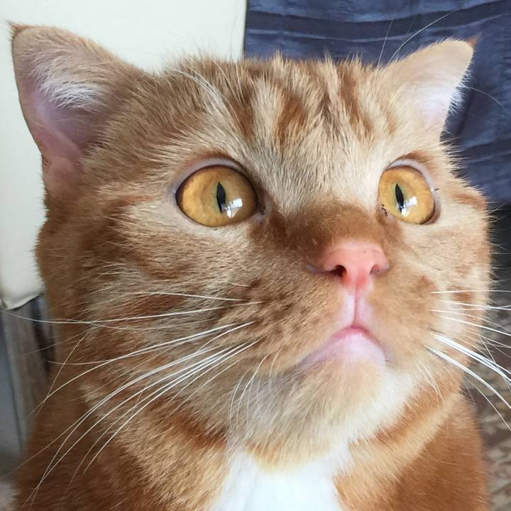 B3cb10a8 5a13 4a38 bde7 1777b8ff847d 1520648300161