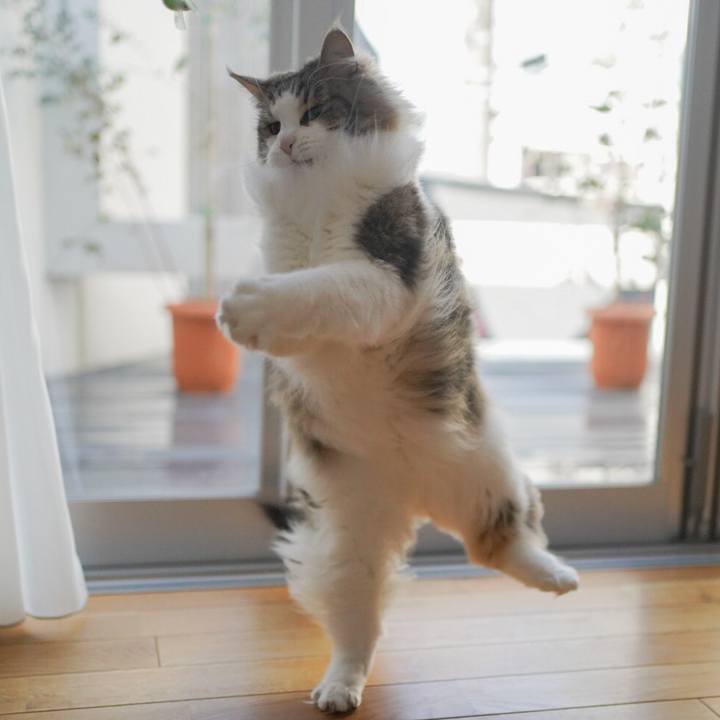 B3cb16ed 83d6 461f ae30 1c54d8bf1bda 1583375593525