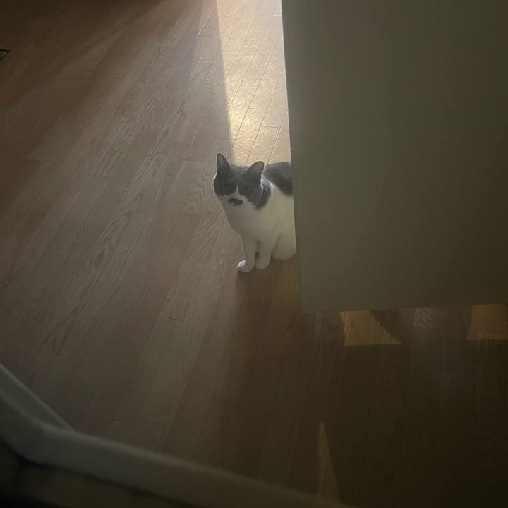 B3cb375c 3473 4990 856b f159139ad0b2 1754979394560