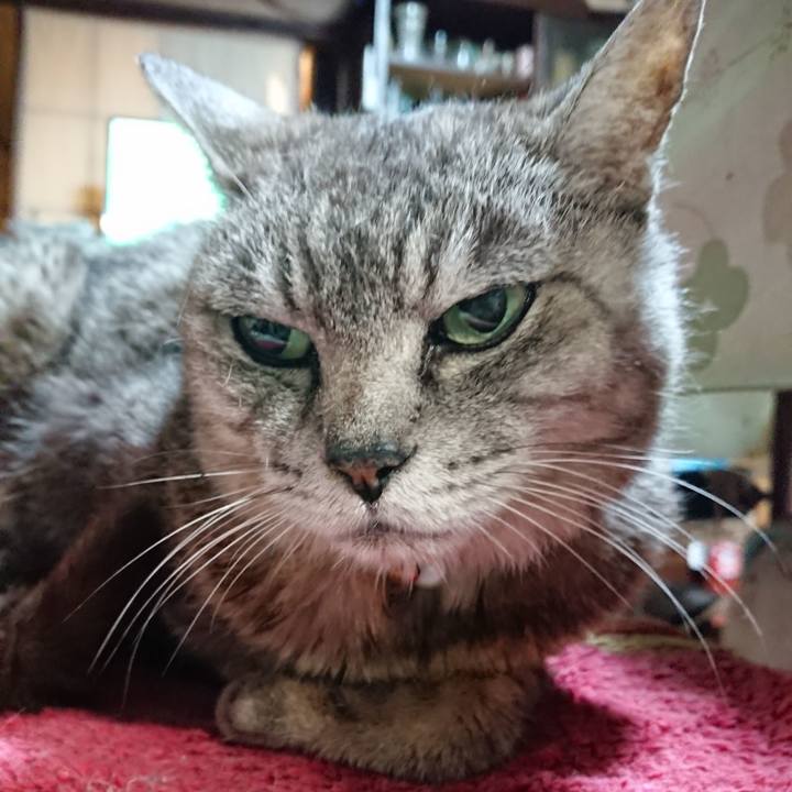 B3cb65bb 30c9 43a4 88bc e466bfeb268b 1566214577388