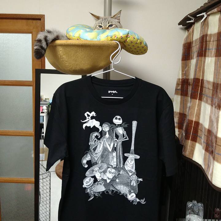 B3cb886f 1439 4aa5 a605 4908cbae215e 1734002303596