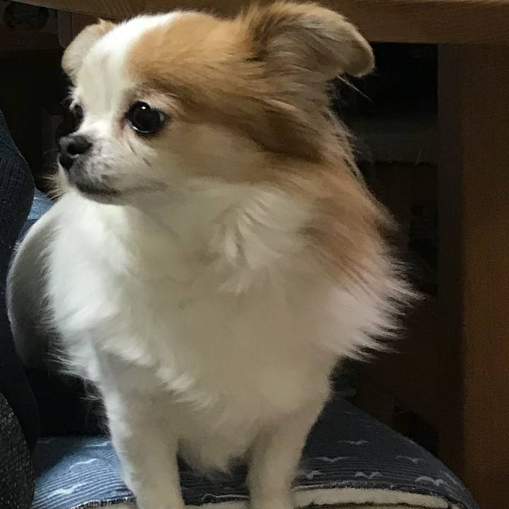 B3cb889f 939b 4b58 97ca 54d66326316a 1547268798024