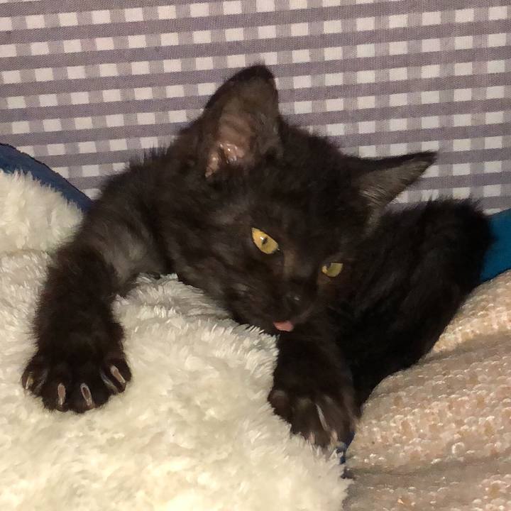 B3cb8d58 e5b6 4193 bf35 d25204d15a01 1604919021222