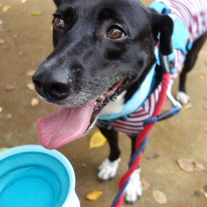 B3cb96e8 32b0 4d50 adf0 93d52e736e65 1629762686767