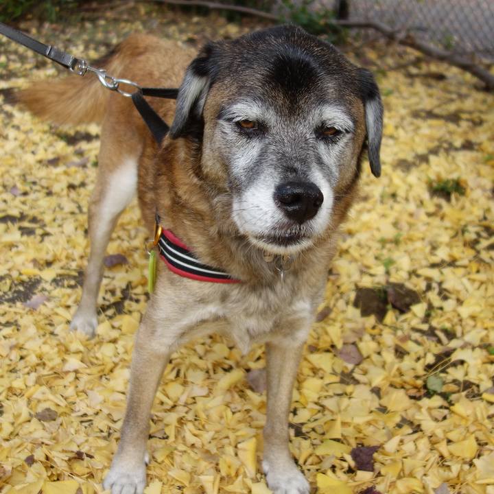 B3cbad0f 9754 4566 9ca3 8445fcd3683b 1652921664965