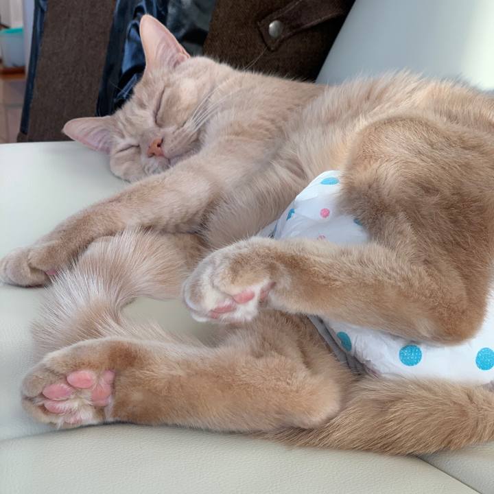 B3cbba0e 8d45 4a3d 84d4 c004cd325e9e 1580596563593