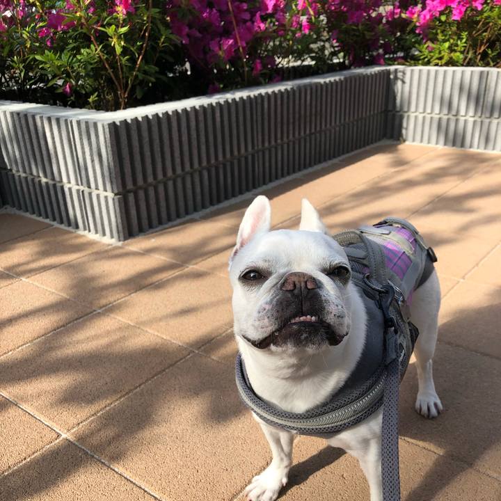 B3cbca16 16bb 47a2 97f9 169bc5c83f7d 1651890125740