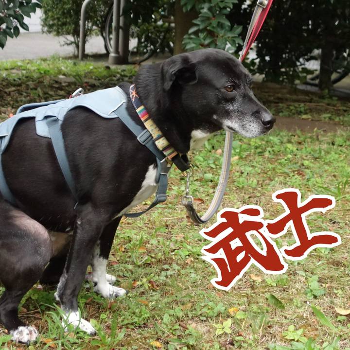 B3cbdc67 56e5 4c38 ba8c 0d8a916bdcd9 1731287583888