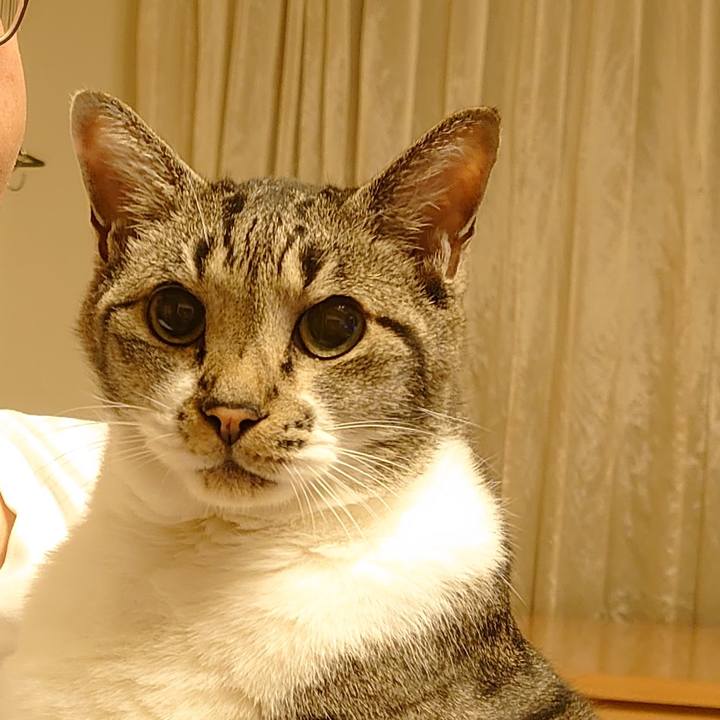 B3cbf40f 0594 4312 beed e6668a4a9fa9 1695391754130