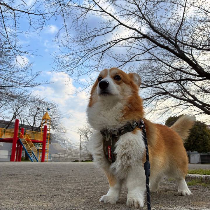 B3cc3c38 2dce 4a44 8c92 61126df6af4d 1774397465292