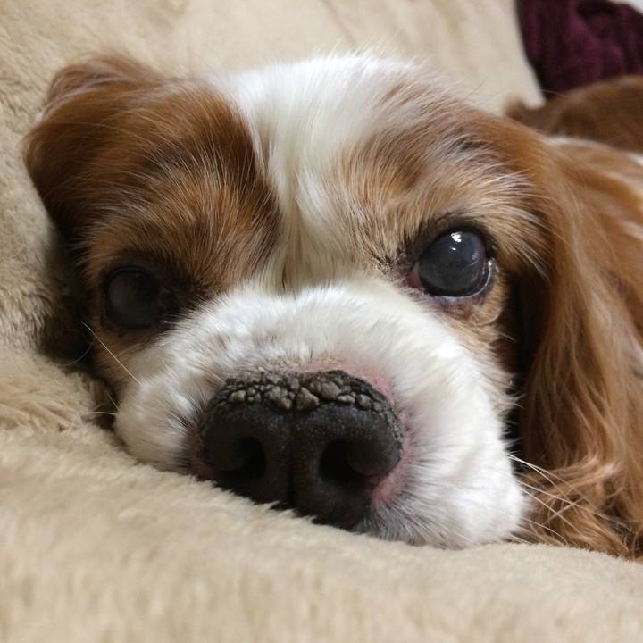 B3cc5967 e7df 4e04 bec0 30902d6ab9d5 1620857816013