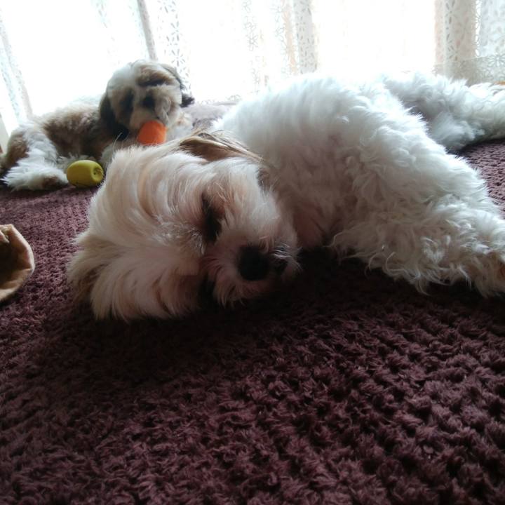 B3cc6cda 74c9 47f6 b285 55b29a703a45 1538714255660