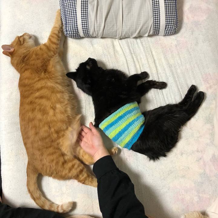 B3ccb6c2 3217 425c b3c7 ea27ec970a90 1609322113790