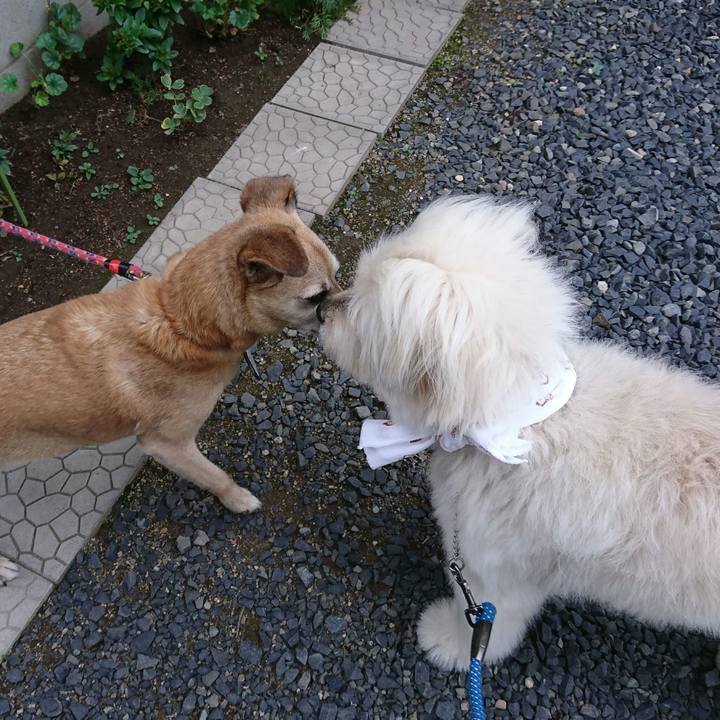 B3ccf081 4b60 4776 969c 5621237cfe1b 1563785461545