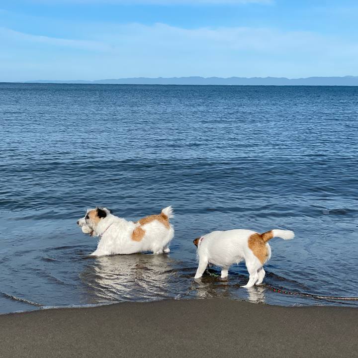 B3cd3427 6cfe 454a 95e4 ad7819f3cf55 1661729820858