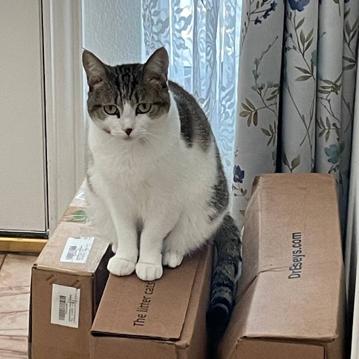 B3cd3f08 ca95 41e9 9df9 54fabbe4b319 1769548188114