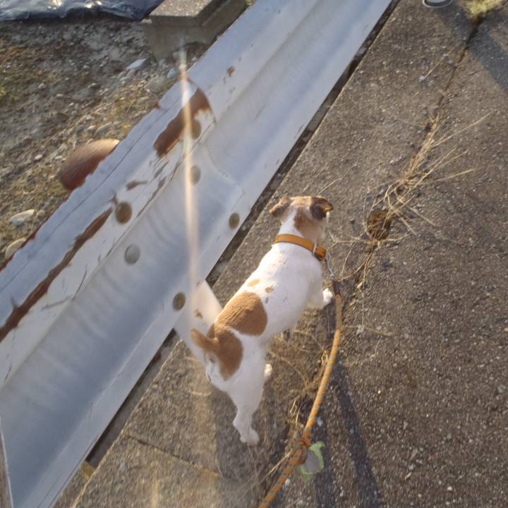 B3cd6904 9f4f 4a31 8219 f0cd056ee911 1567769246908