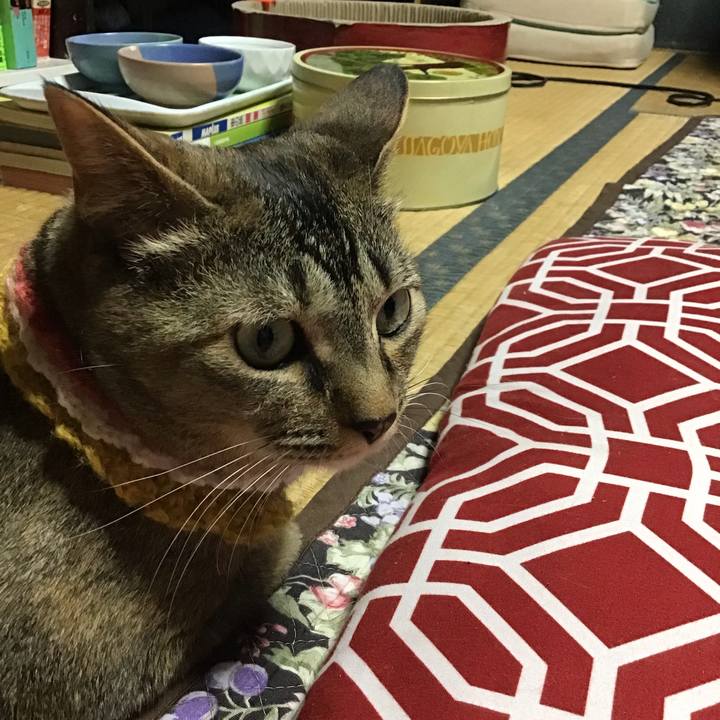 B3cd848e 5a19 409d b6a1 ca98c62dda4f 1623232027151