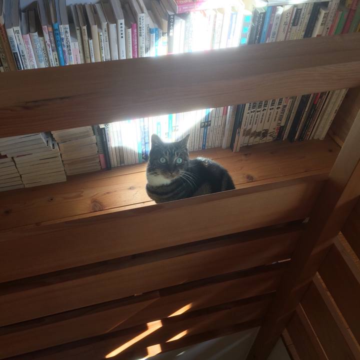 B3cda24e 2313 4570 a9d1 76debb44d2a5 1515712327519