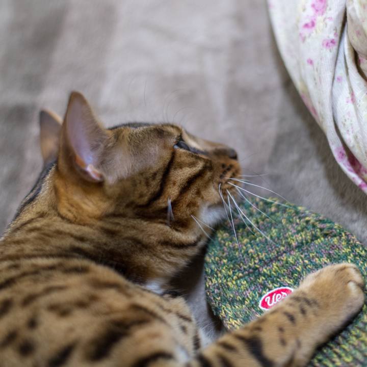 B3cdbaca 2f17 486b 8747 fdee3e59a4f0 1520952845645