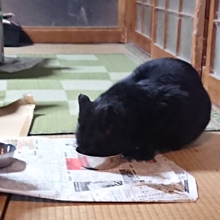 B3cddcb2 ff9b 4dbf 9765 d7ee9590c401 1615723899608