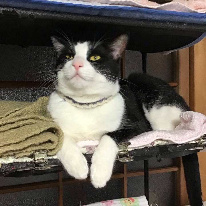 B3cdec17 62be 4ba4 87c3 0c3c79d9c5cd 1655370472262