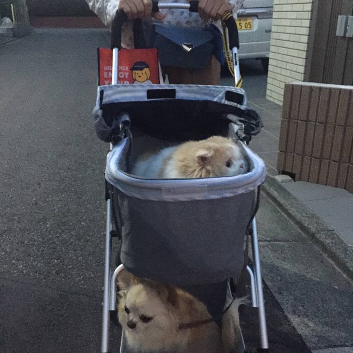 B3cdf449 b08e 4a6d b3e7 2a5384a81a27 1591182895218