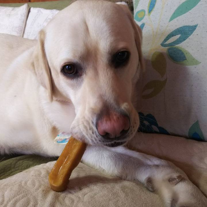 B3cdfe54 d409 4491 8003 0dc172b0e5d7 1518407531120