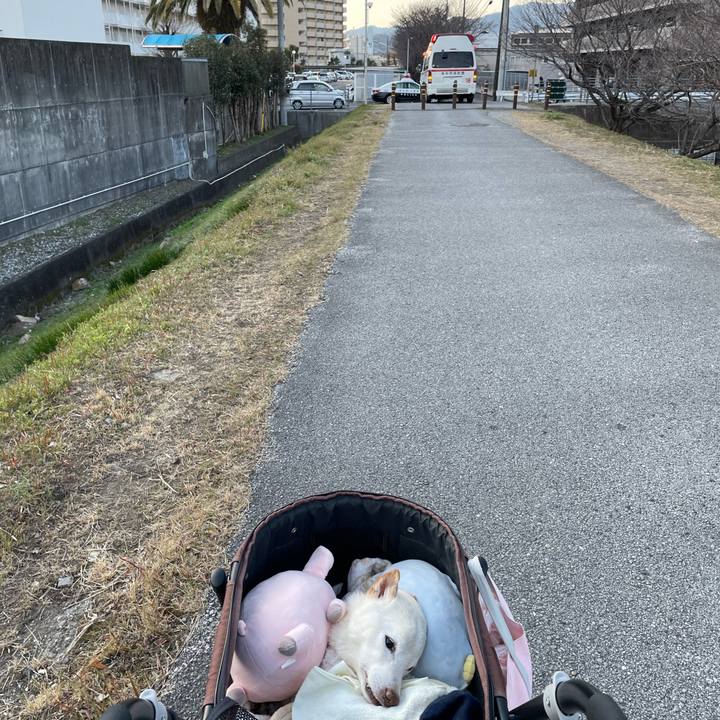 B3ce47fc 54a4 4bec aec3 bfb63af8a0f6 1675332141661