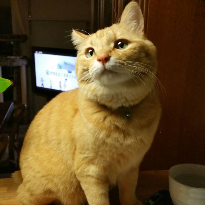 B3ce5390 ec65 421d 9073 9ec9247ed7fa 1522420162914