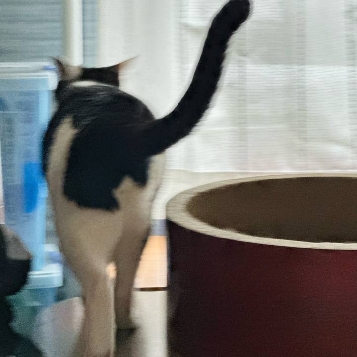 B3ce8389 ebc5 4ba4 b1d4 848a5d67630b 1668998527365