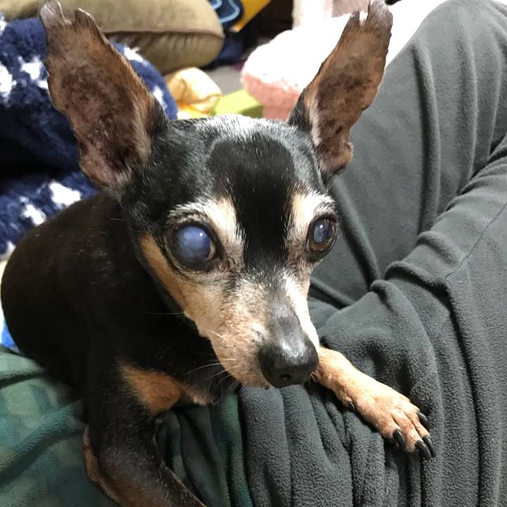 B3ce9cbb acc7 415e b82d 40c5134497c2 1554218187491