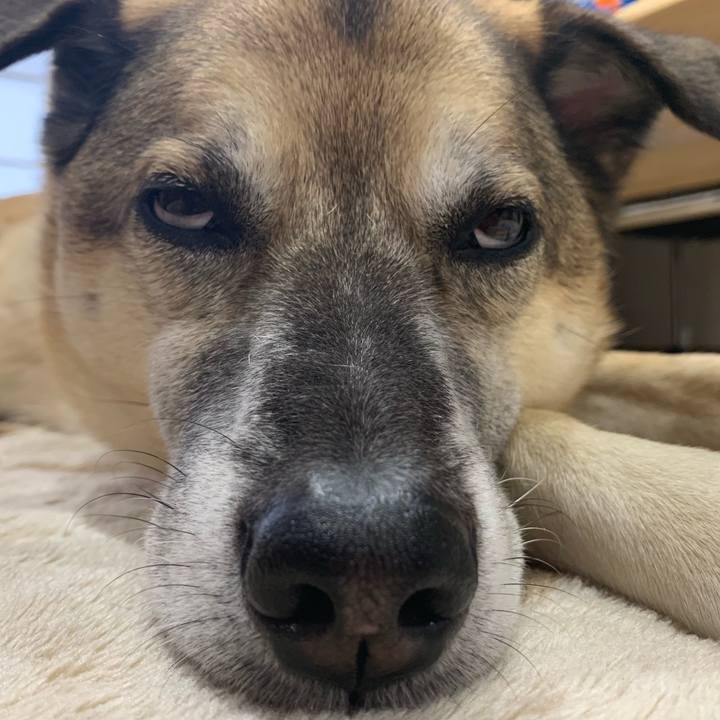 B3cec161 bd46 4cb1 9e05 f53a63905039 1549018301949