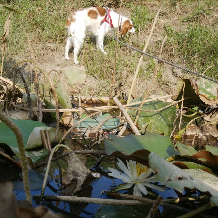 B3ced605 4411 4fa5 83b6 382b928f0ddc 1533624681939