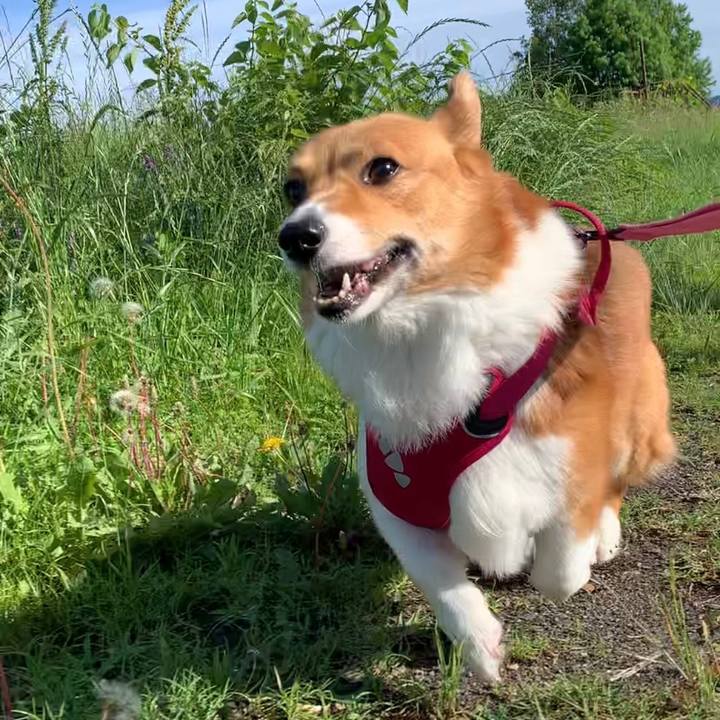 B3ced775 d909 4d50 b62c 66085db14906 1654038891714