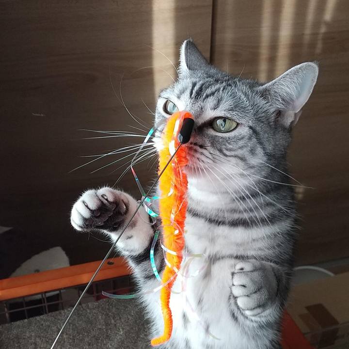 B3cef21d 0c9a 4dda b0aa 54d07d3df981 1660440291005