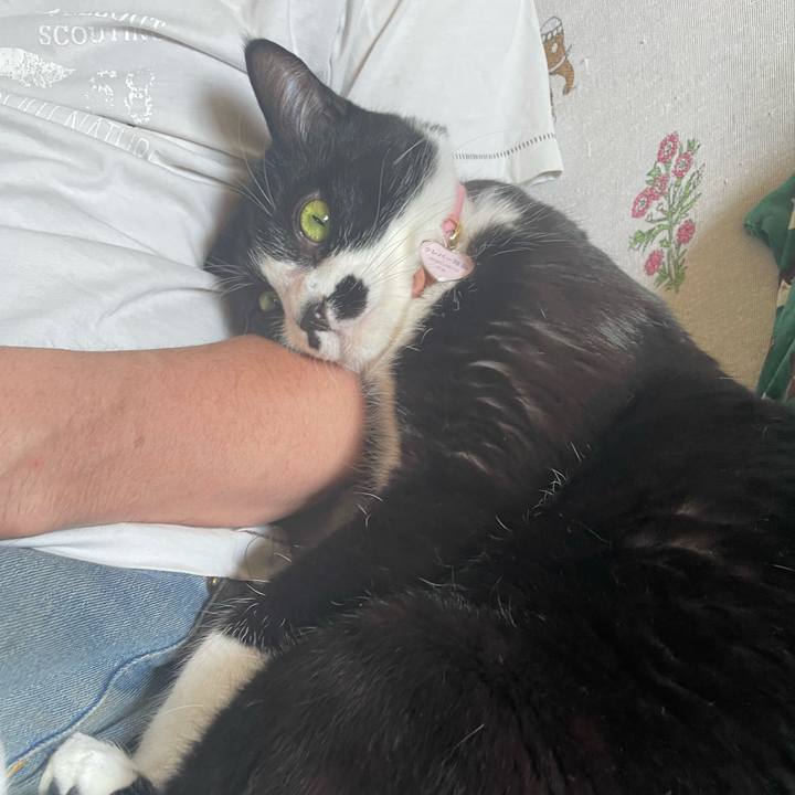 B3cf04c4 d2bc 434b 9e20 9fe7c1c64be7 1713064030407