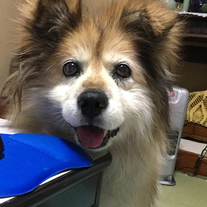 B3cf185b 05ef 4bd8 9d2f 35e8fccd23d8 1585186517260