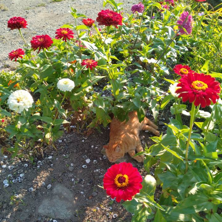 B3cf3305 2c97 4fd5 9f2a d095d032167a 1690409593036