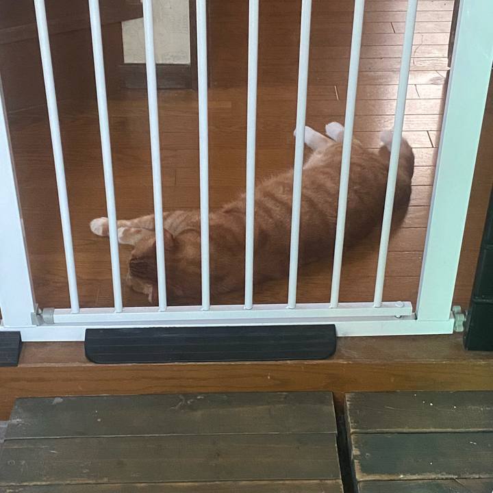 B3cf5b50 7a05 4d86 bc16 42097f58e115 1755415726113