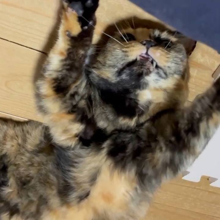 B3cf6b9e 242a 449d b8a1 d518c05b109c 1754042639332