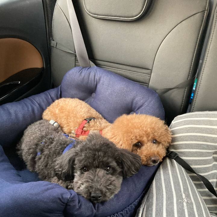 B3cf8ffe 7cfb 4386 a0e5 b203517eec15 1652680925611