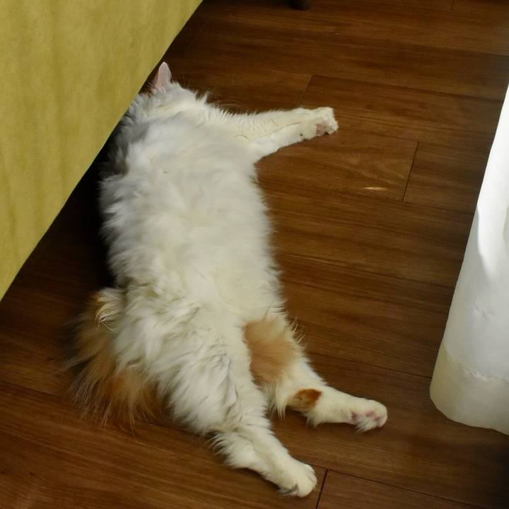 B3cfb633 2d04 4410 928b 6492ea01b077 1766194079188