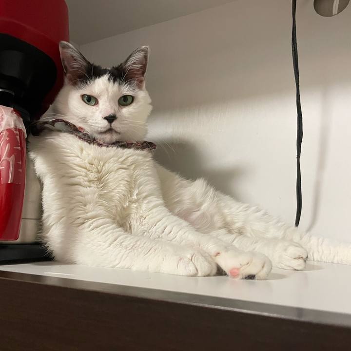 B3cfd215 381f 452b baed e17abe6f6d18 1686403372593