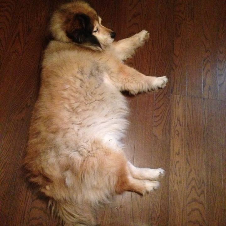 B3cff62b 11cc 44c1 b511 b895a4fbff0f 1551534451761