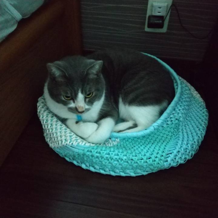 B3cff803 44ef 4809 a360 7979e1e1f1f1 1632692394571