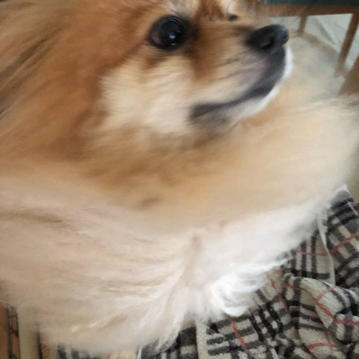 B3d01f3b 46f1 448c 84cb 8c7c84882aff 1565422415593