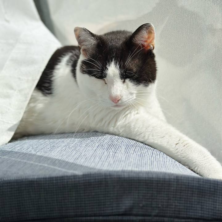 B3d0268e 8e5e 450a 9f41 a3cb343cbf0a 1719449865087