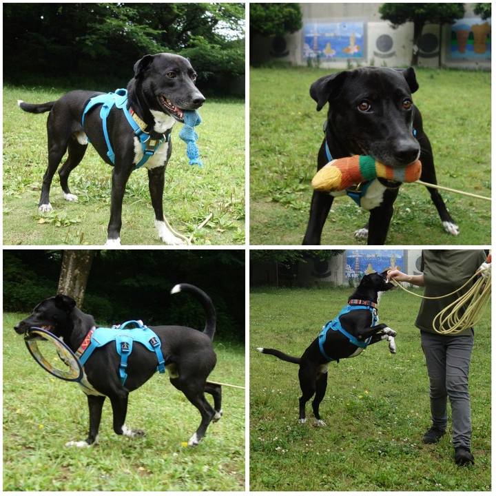 B3d02a0c ab40 458f b64e e65852f75c43 1621297842328